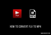 How to Convert FLV to MP4